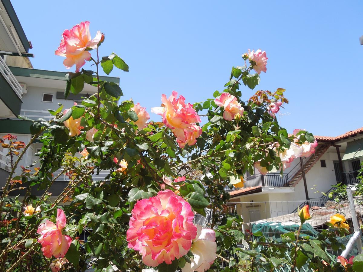 Sunshine Apartment Паралия Дионисиу Екстериор снимка