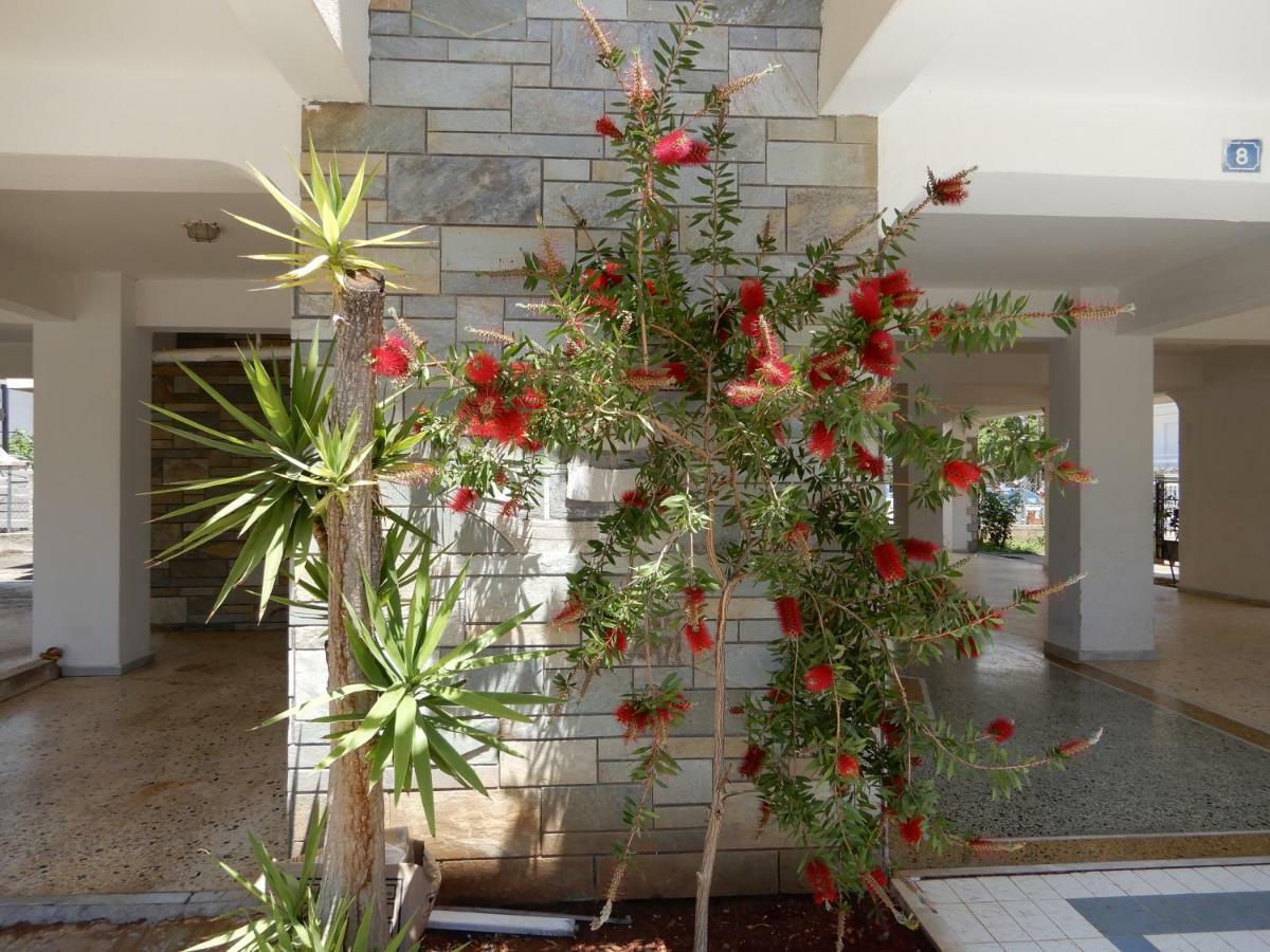 Sunshine Apartment Паралия Дионисиу Екстериор снимка
